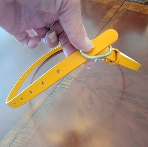 NWT Lands End Gold Belt. Size 2x
